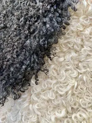 Premium curly Gotland Sheepskins - фото 2