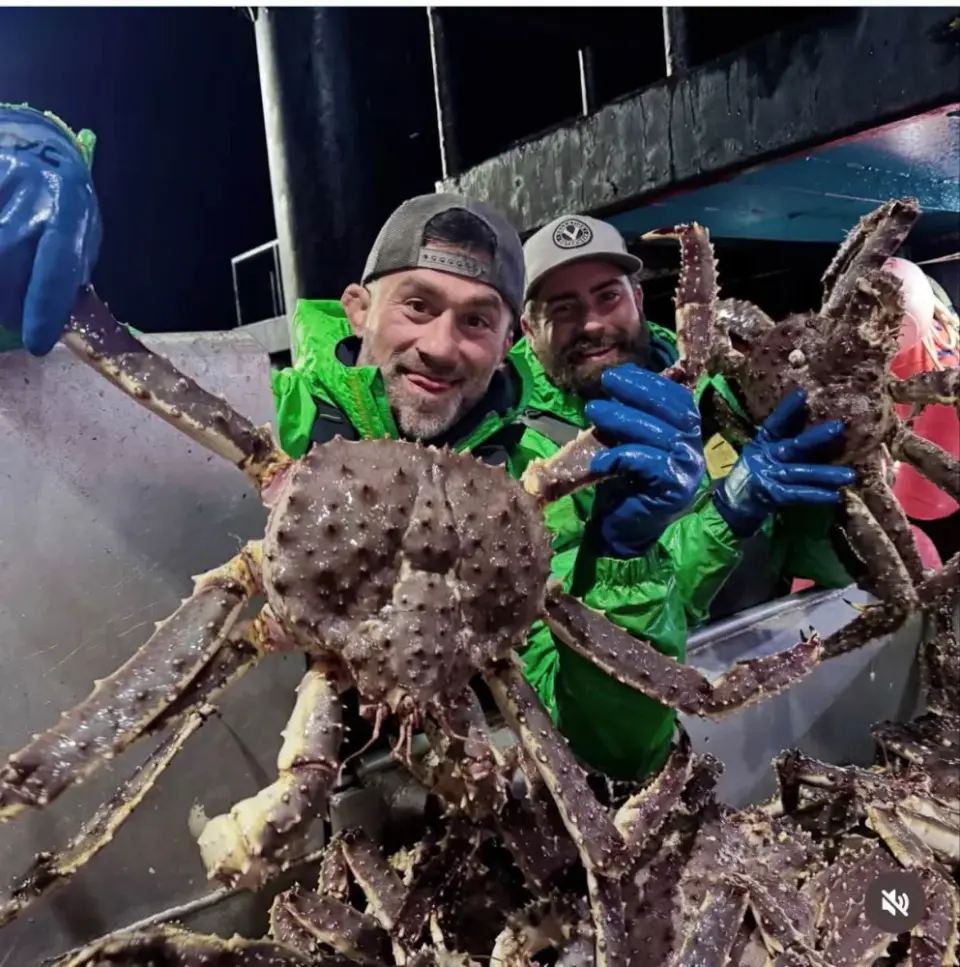 Live and Frozen King Crab for sale, Live/Frozen king crab - фото 1