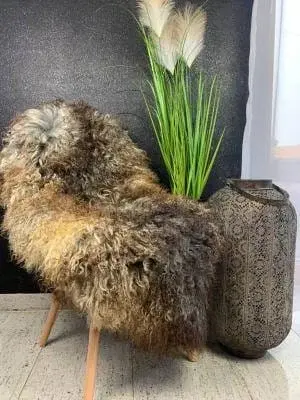 Premium curly Gotland Sheepskins - фото 5