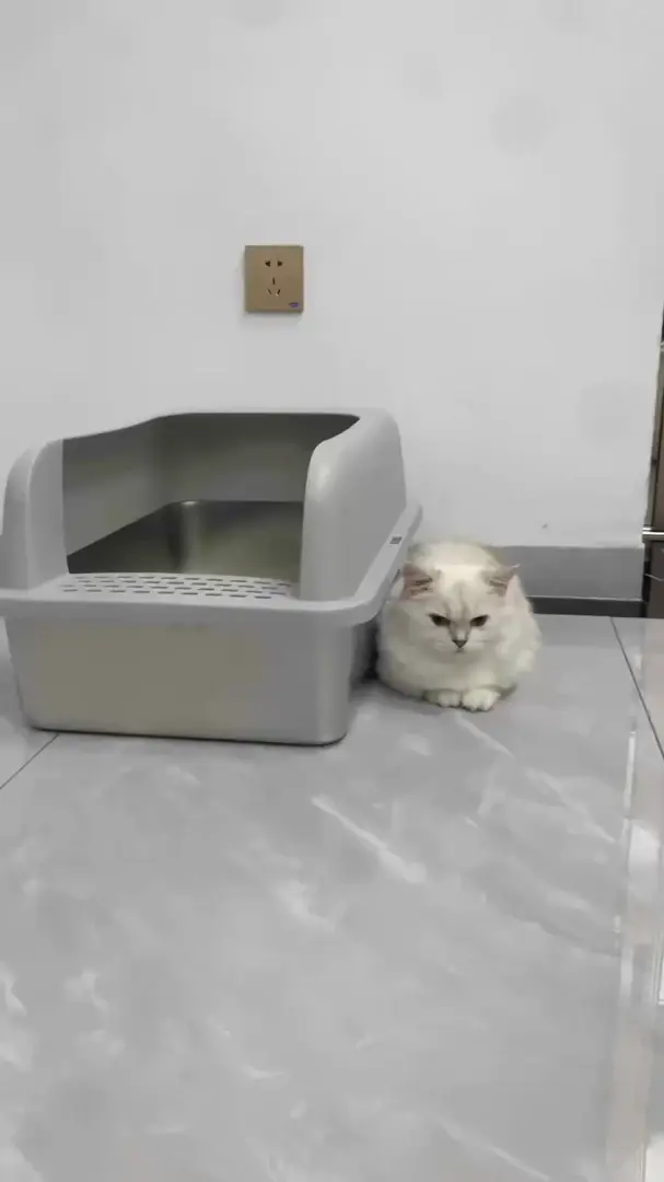 Сталевий лоток для котів XL з кришкою | 60×50 см | Антизапах - фото 2